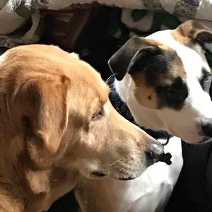 Meet your Posher, Jane